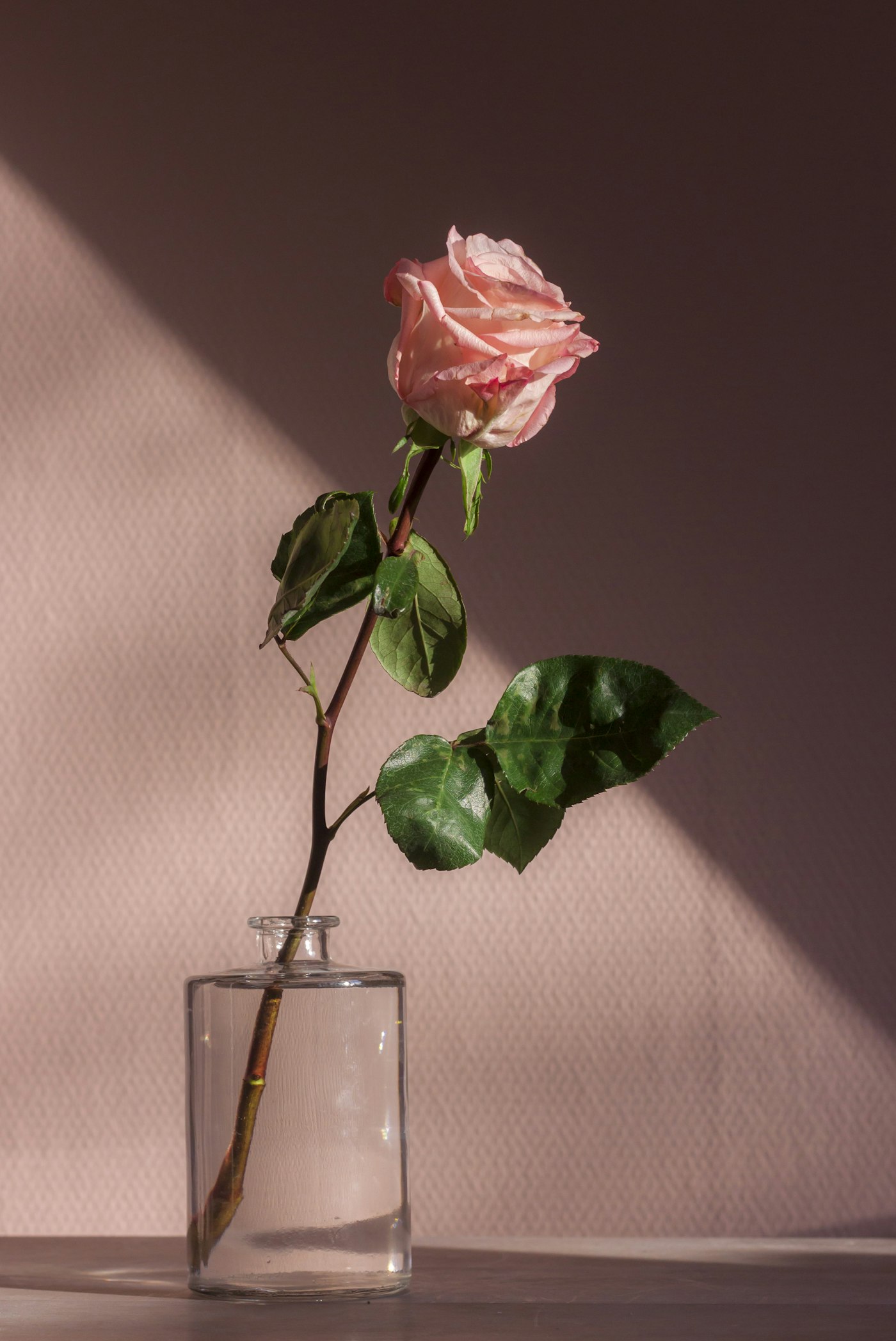 Verse bloemen